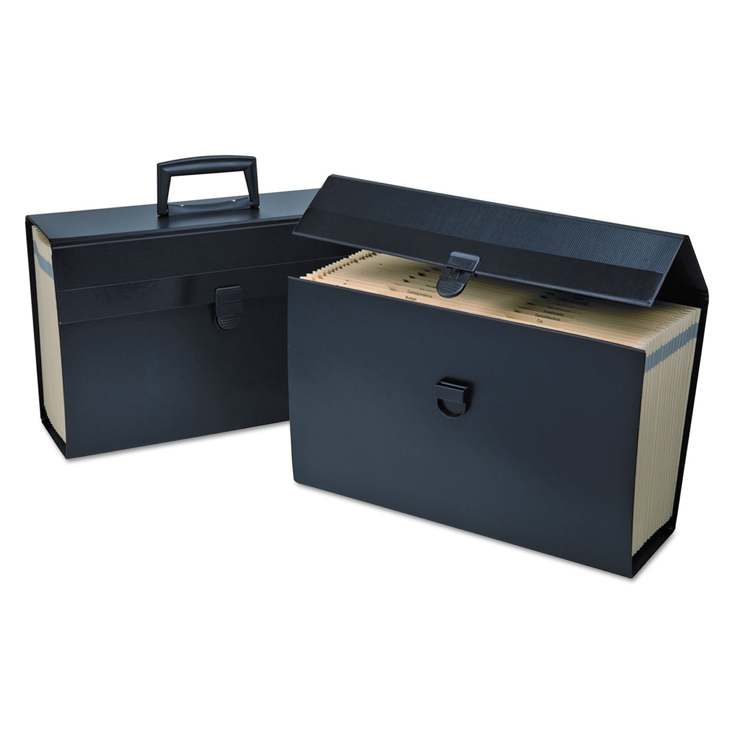 Amazon.com : Pendaflex 01156 Letter/Legal Expanding Organizer, 19